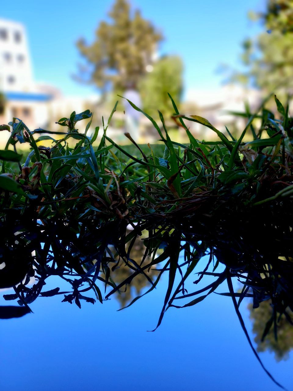 Nature photo 3
