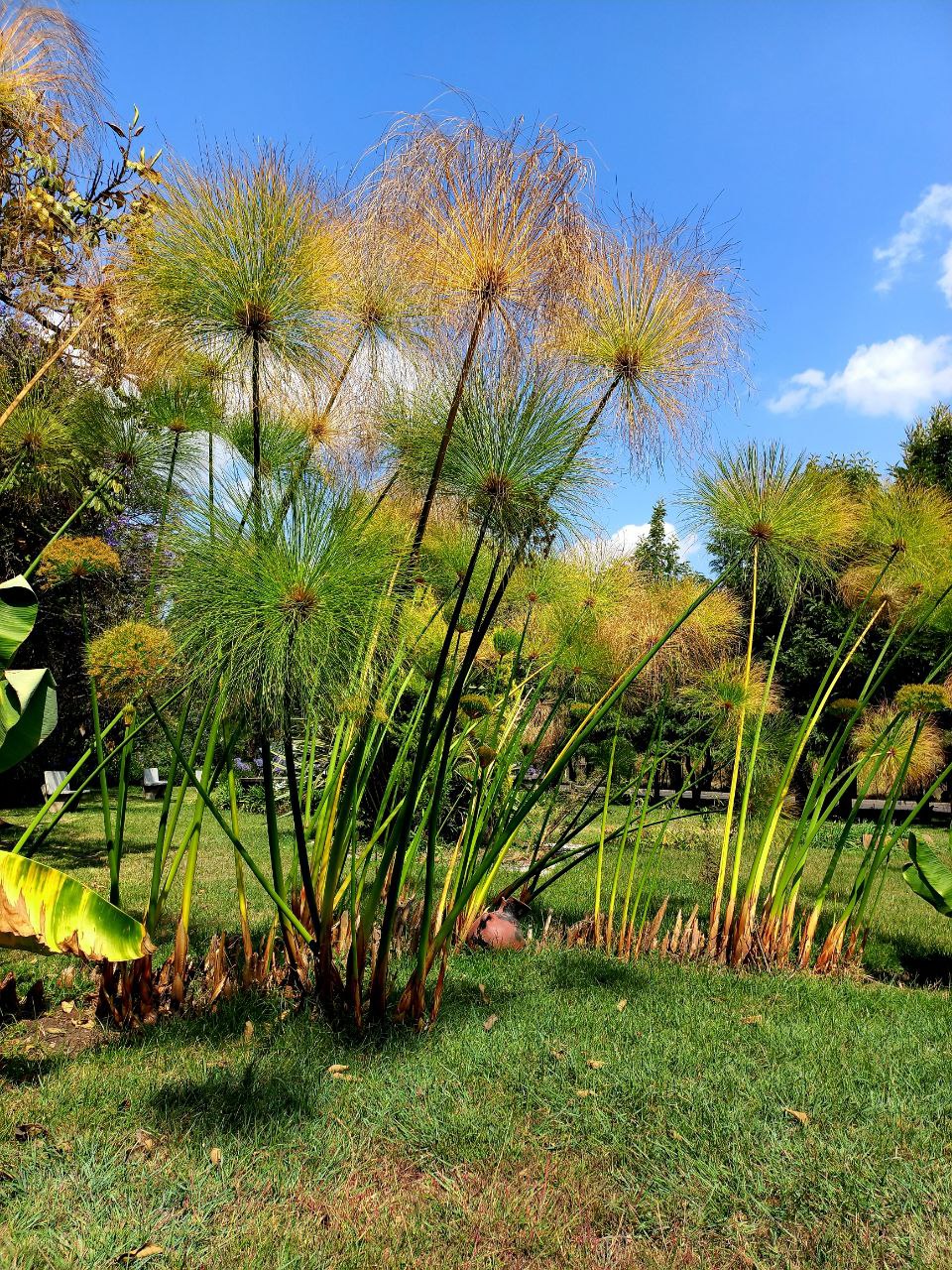 Nature photo 6