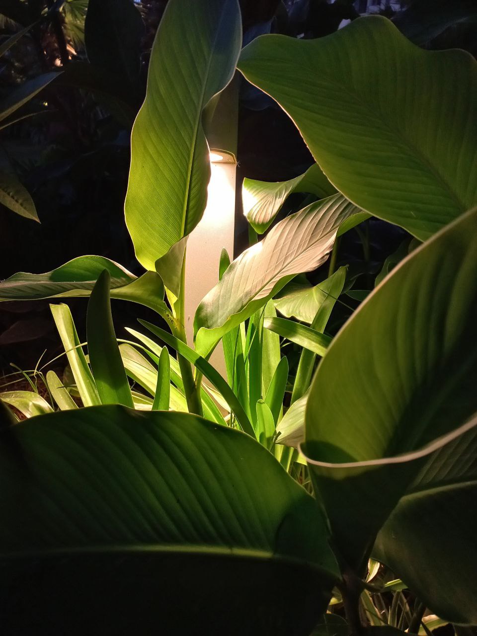 Nature photo 8